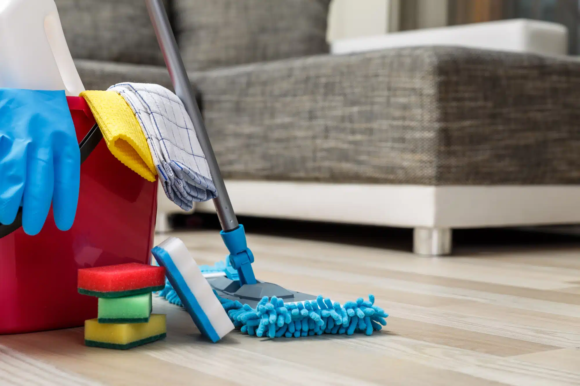  Qovrixu : Immaculate Residential Cleaning Services